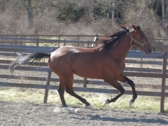 Random Shot 150415-1